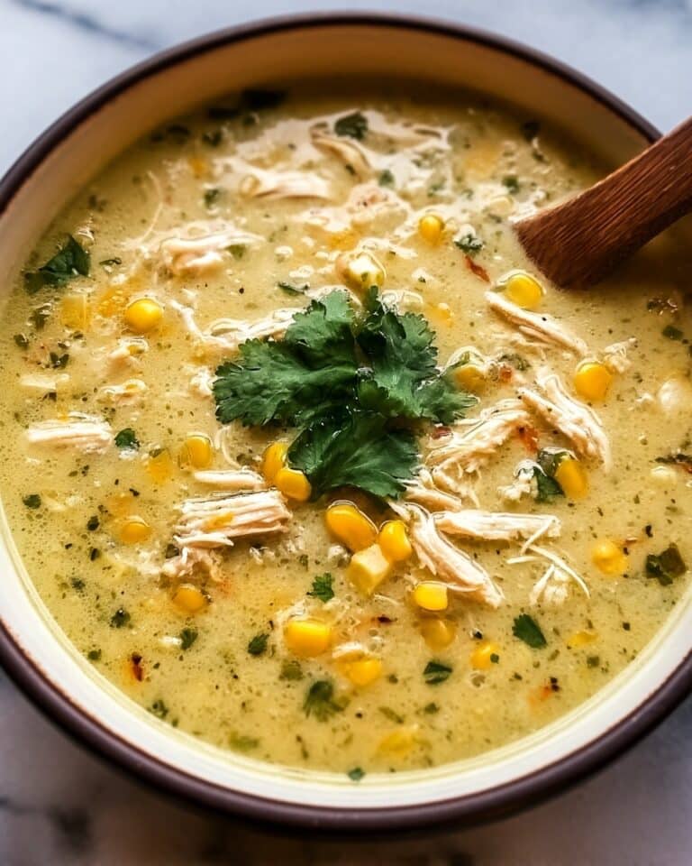 Green Enchiladas Chicken Soup Recipe